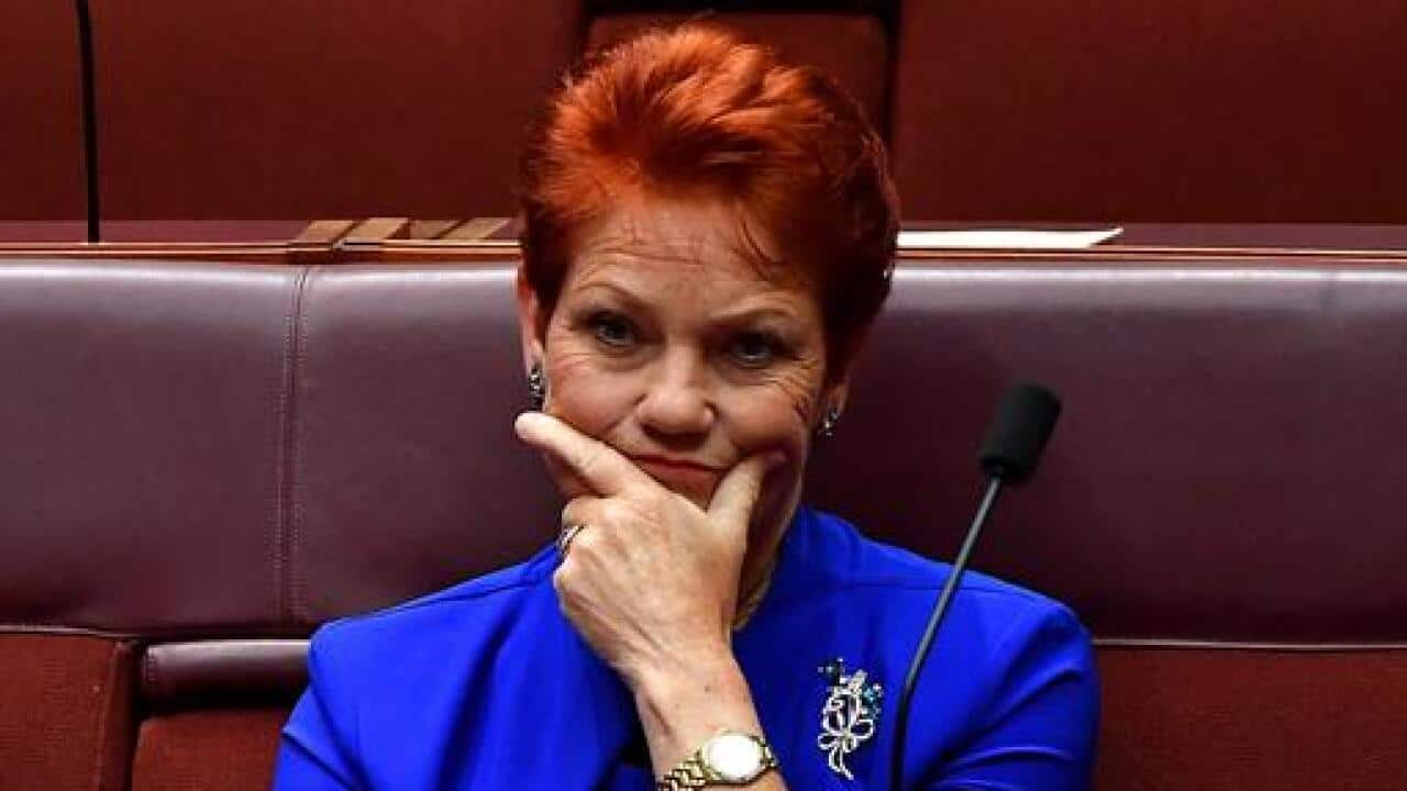 One Nation senator Pauline Hanson