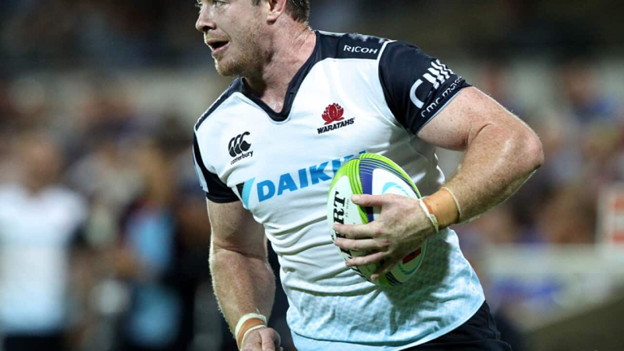 NSW Waratahs No.8 Jed Holloway