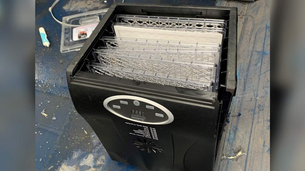 ERIN PATTERSON COURT