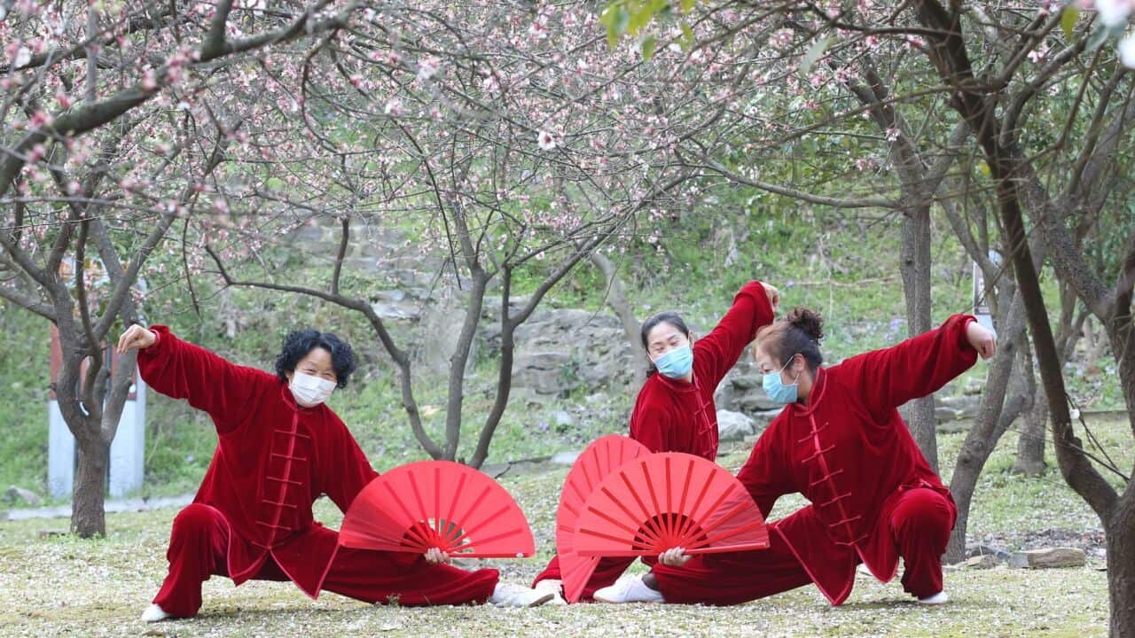 Tai Chi lovers practice tai chi in the Apricot Garden of the National Forest Park, Huai'an City, Jiangsu Province, China, March 18, 20