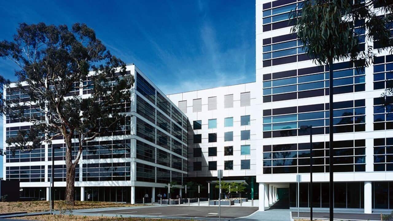 Department of Immigration