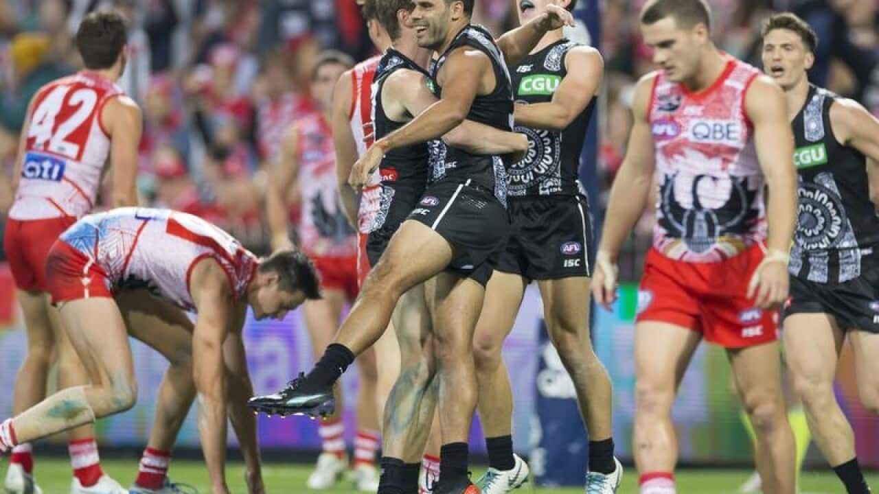 Magpies