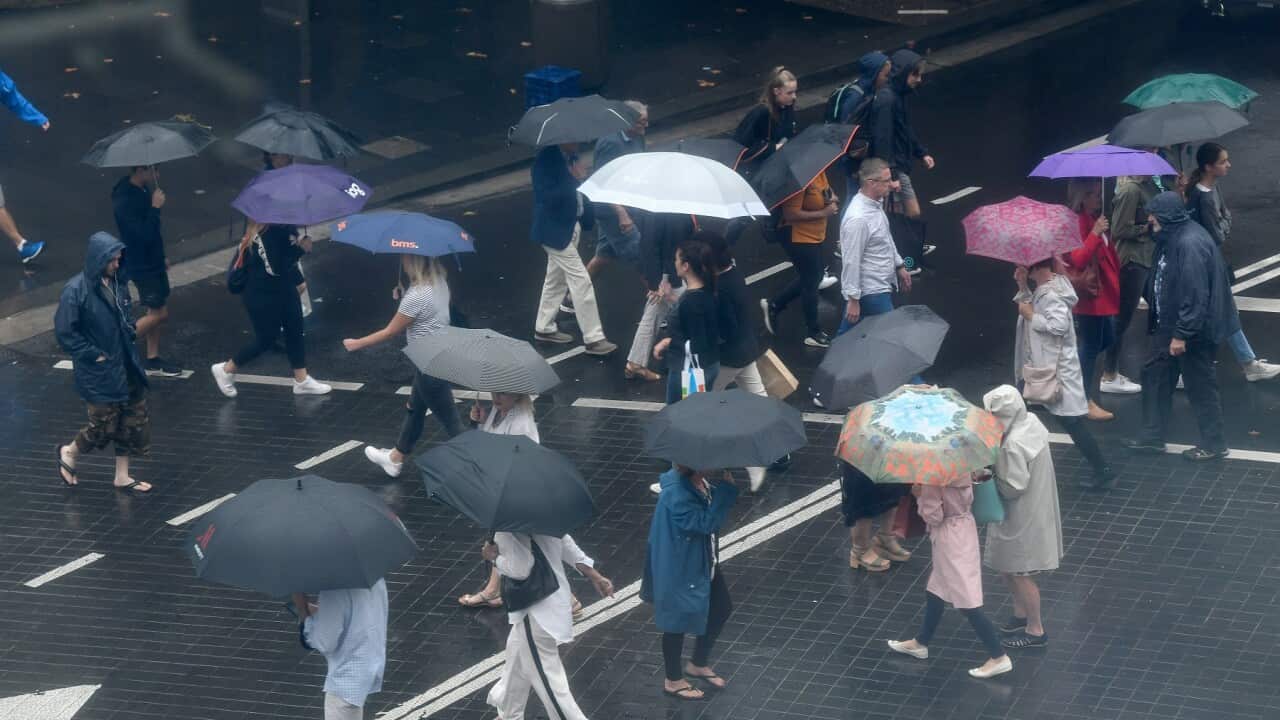 SYDNEY WET WEATHER