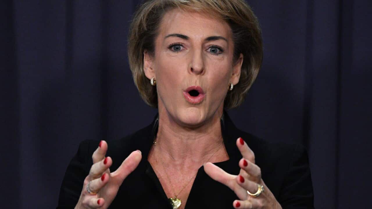 Minister for Jobs Michaelia Cash at a press conference at Parliament House in Canberra, Wednesday, May 30, 2018.