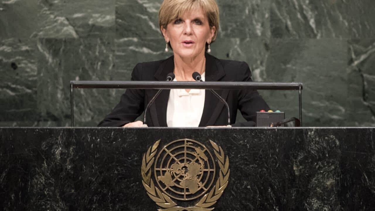 Julie Bishop at a United Nations summit in New York