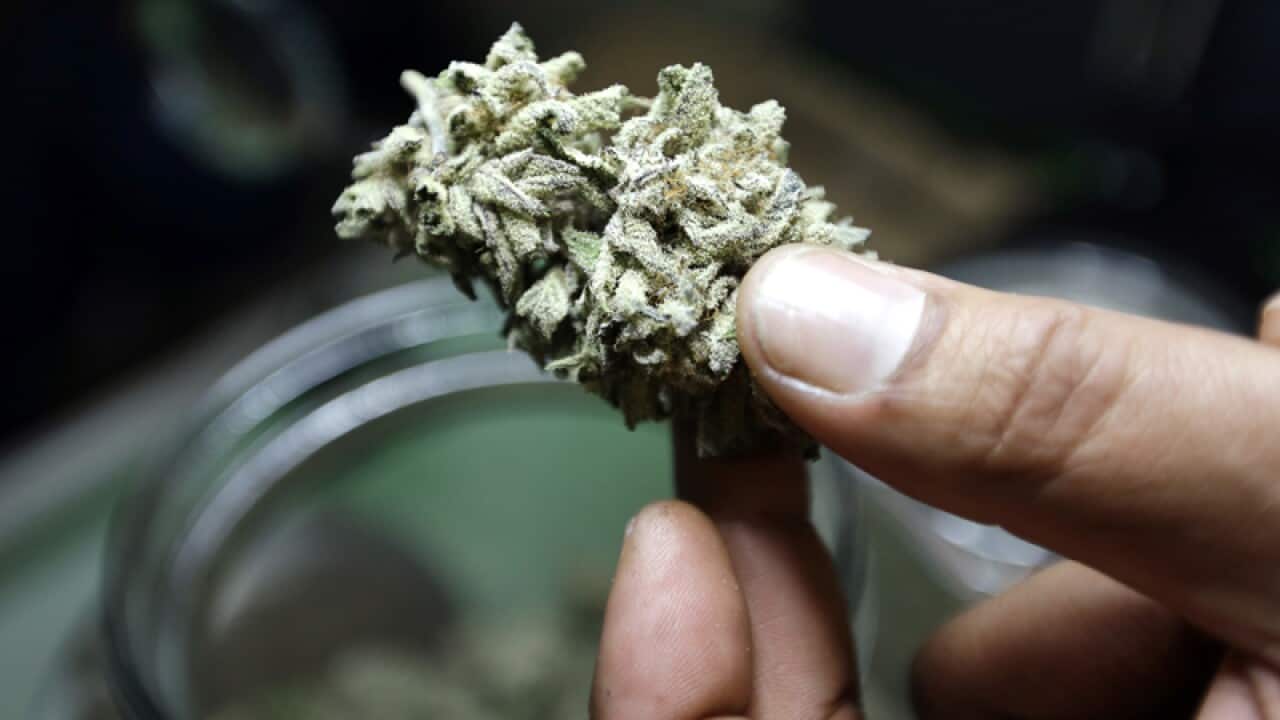 Americas weigh legalising cannabis