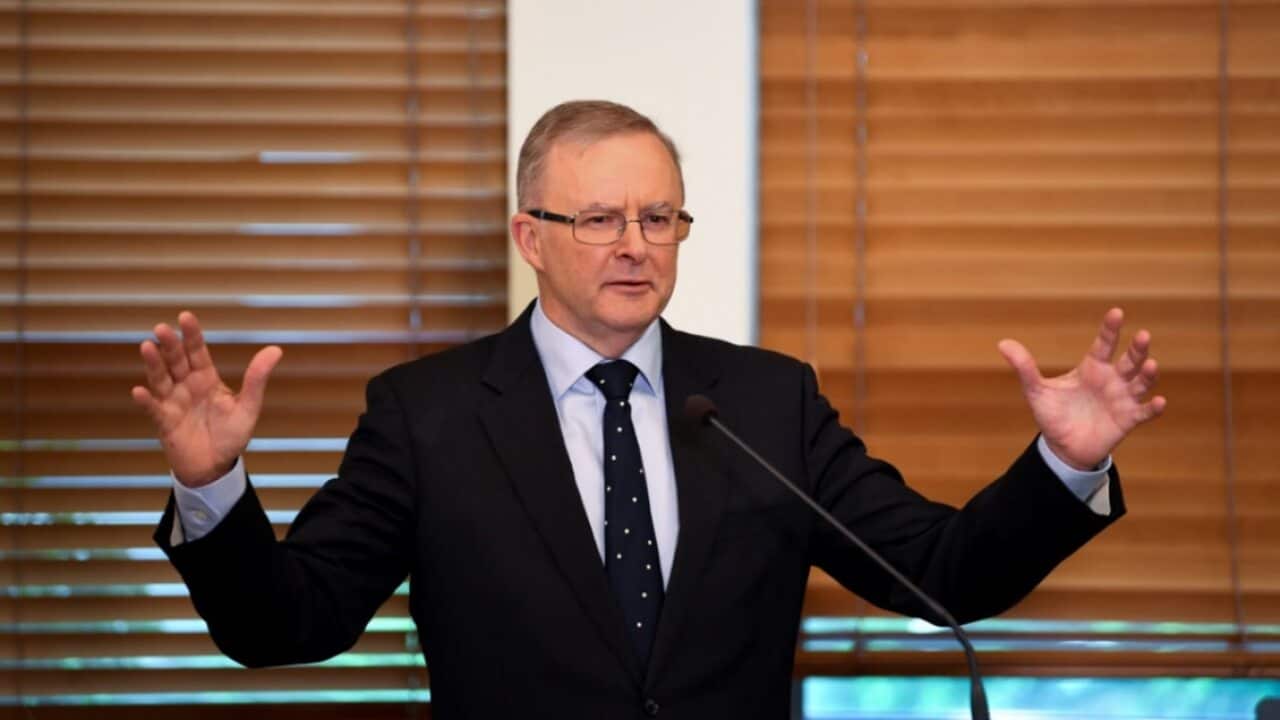 Prime minister Anthony Albanese speaks at Parliament House in Canberra.