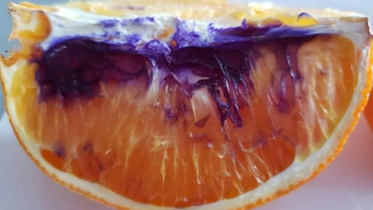 purple orange