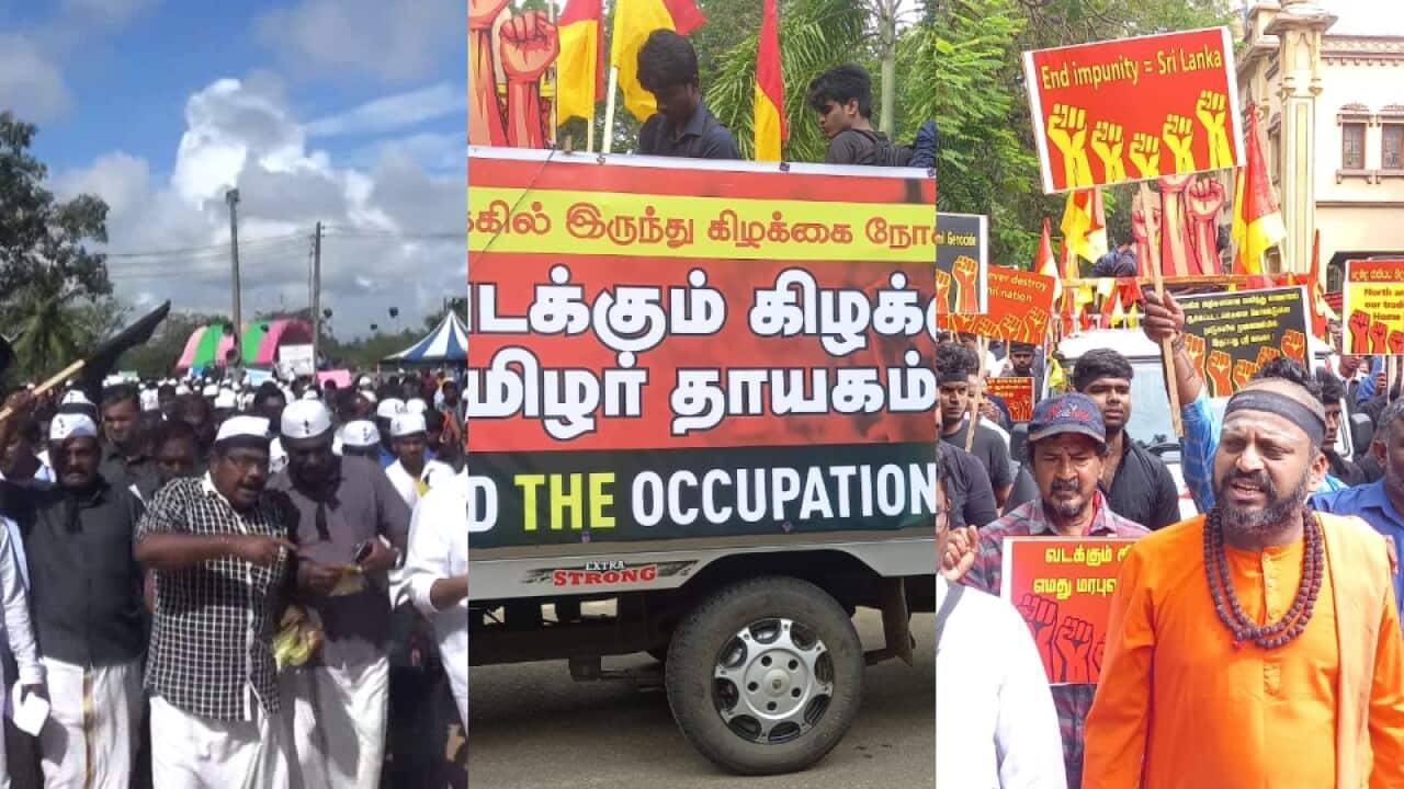 Sri Lanka.jpg