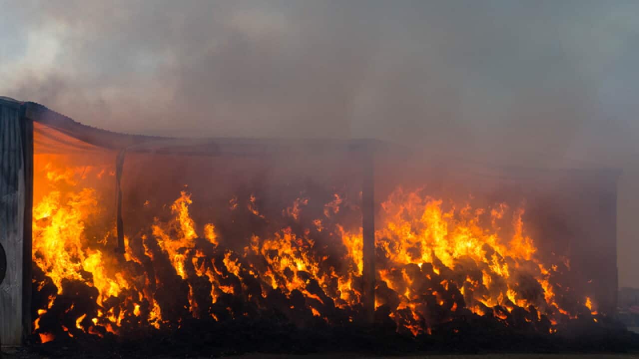 A hay shed burns on a property near Freeling.