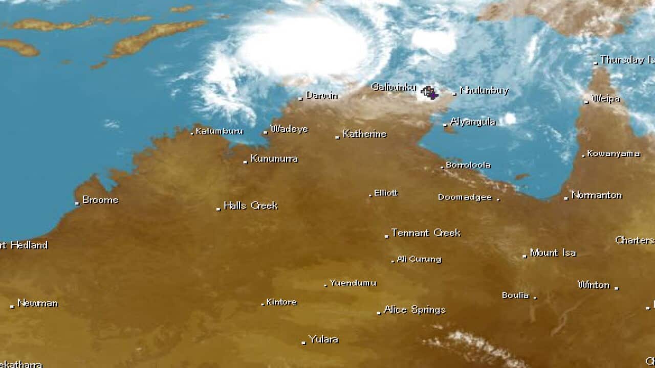 Radar image of Cyclone Marcus approaching.