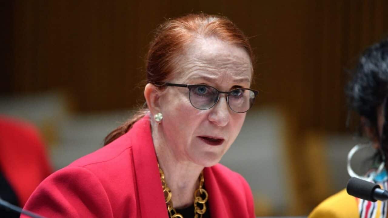 Rosalind Croucher is president of the Australian Human Rights Commission, which has recommended the bill not be passed.