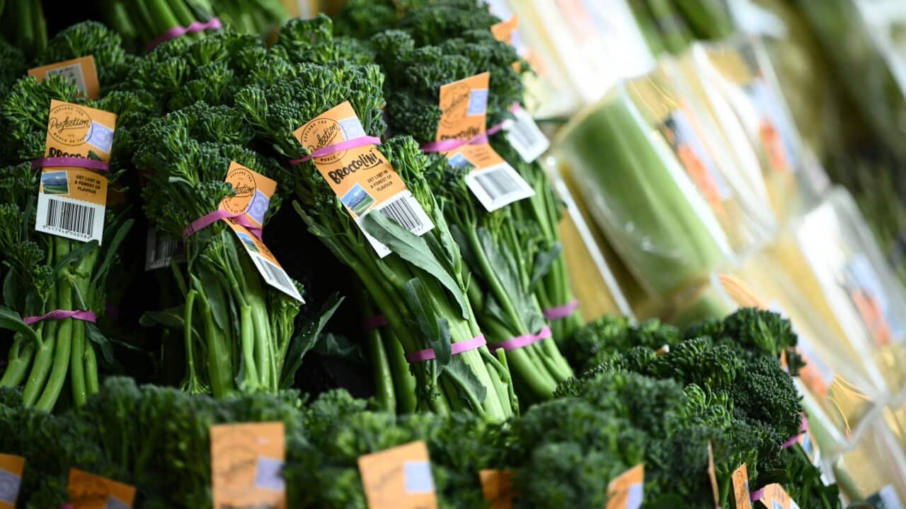 ABS CPI FIGURES STOCK