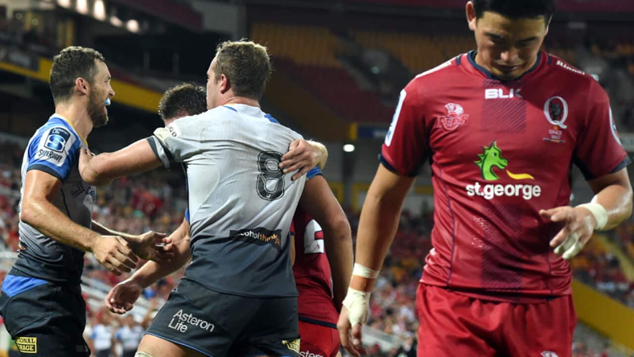 Western Force player celebrate a try.