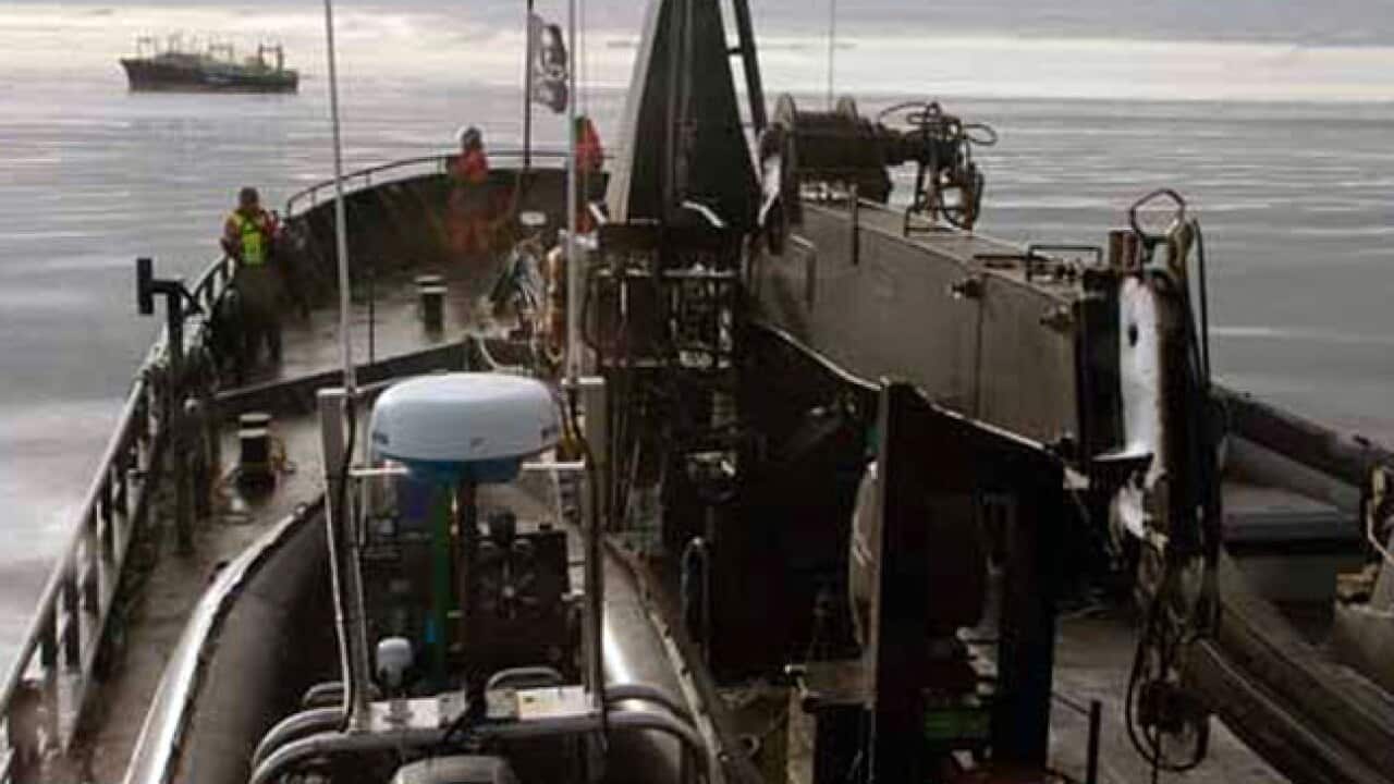 sea_shepherd_whaling_sea_shepherd_bob_barker_1492539656