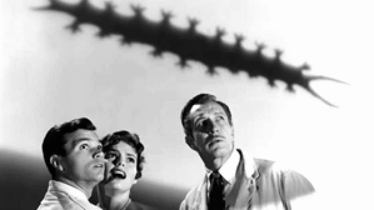 The-Tingler_301_977126718