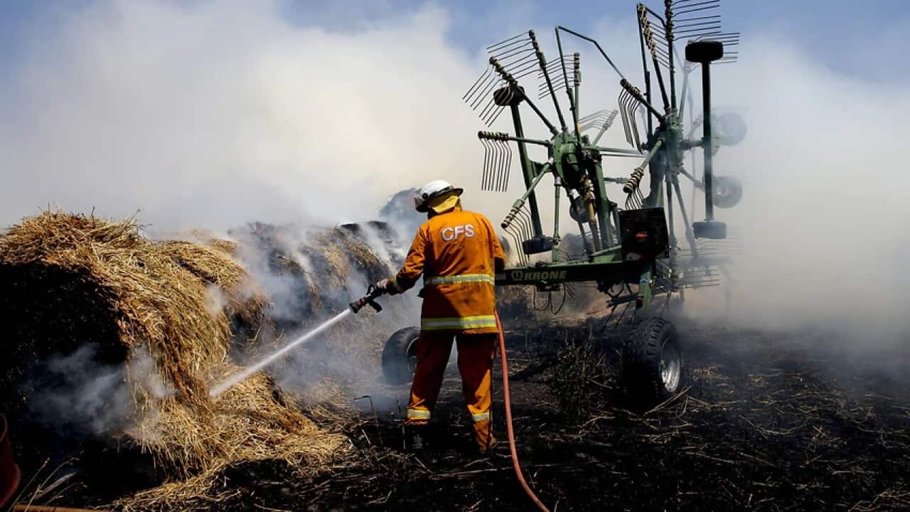 CFS members put out a fire at Mount Torrens in the Adelaide Hills in Adelaide.