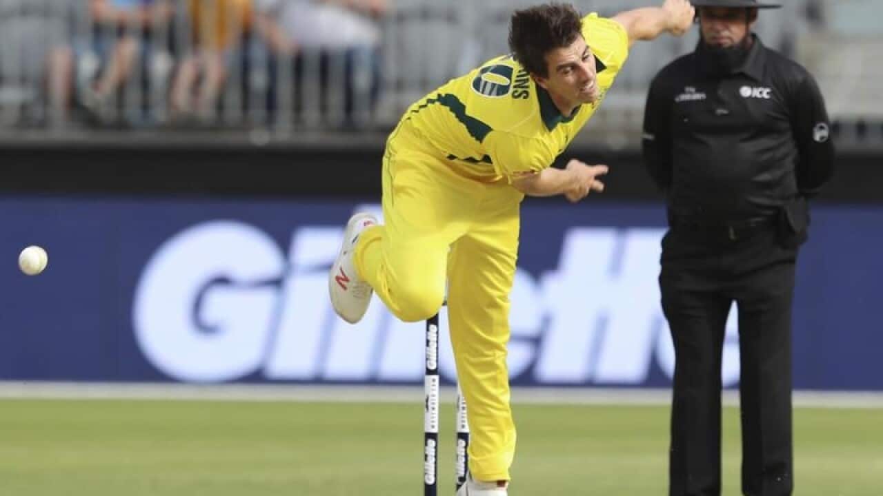 cricket