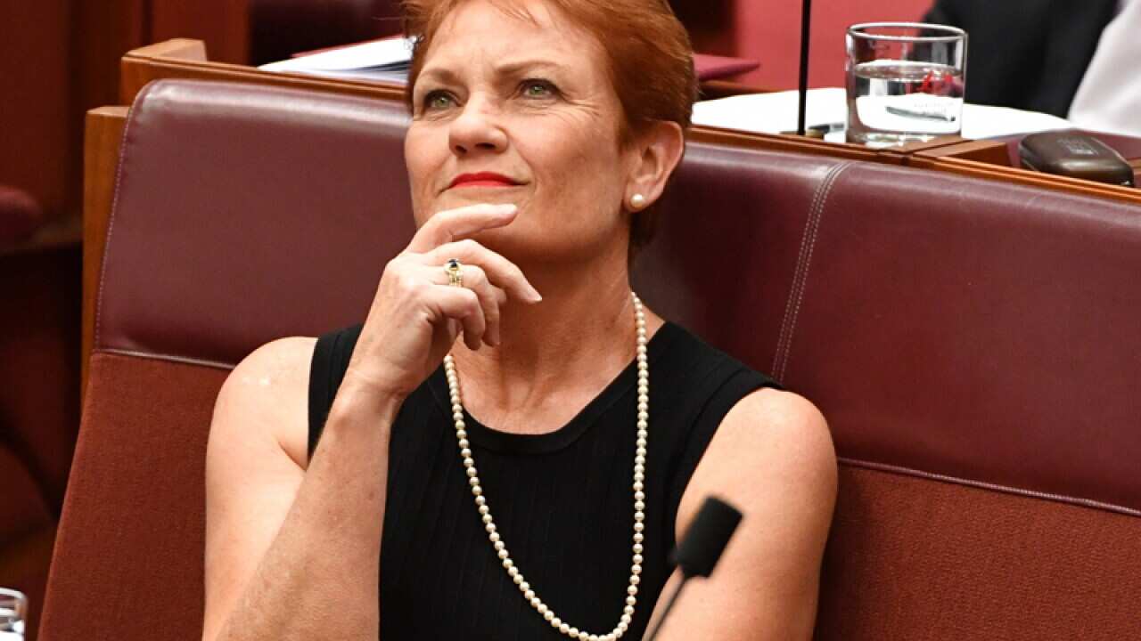 One Nation leader Senator Pauline Hanson