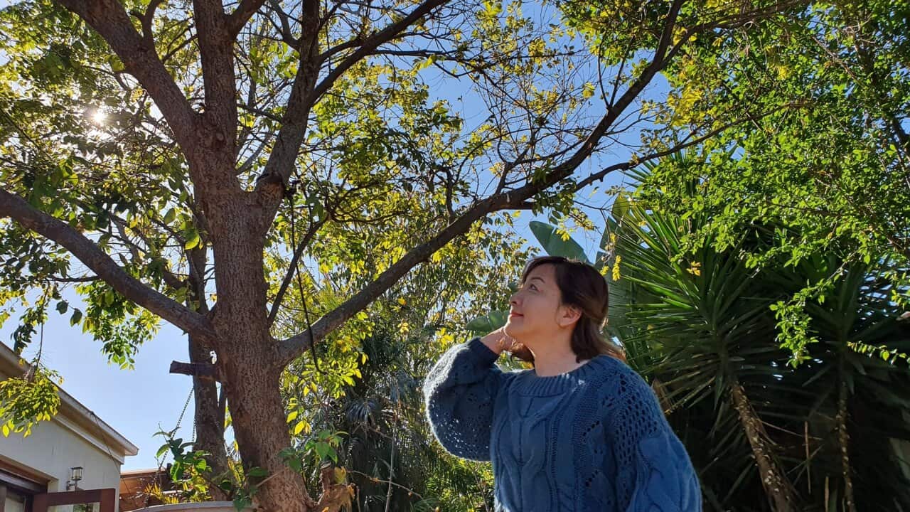 Image for read more article ''