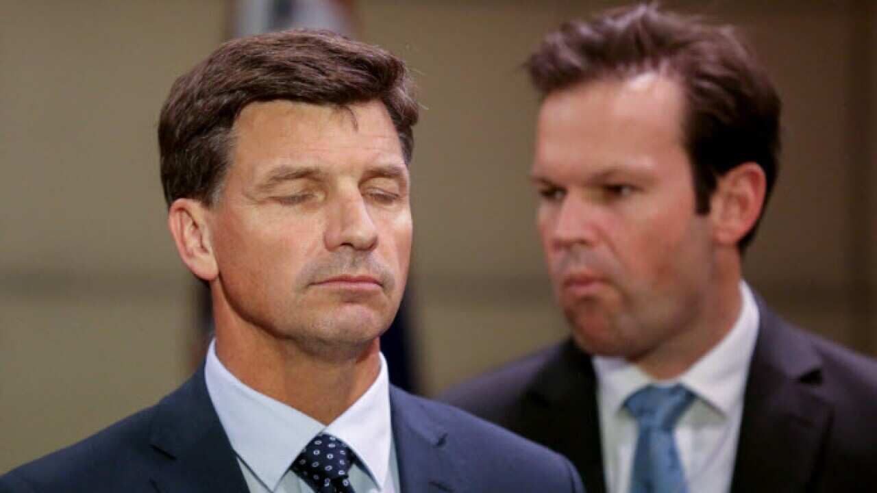 Angus Taylor