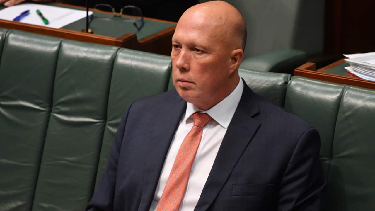 達頓被指漠視內政部建議改撥款 審計局已展開調查