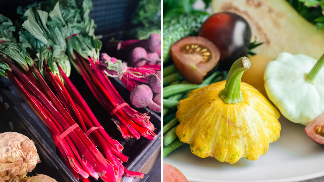 rhubarb and yellow squash.png