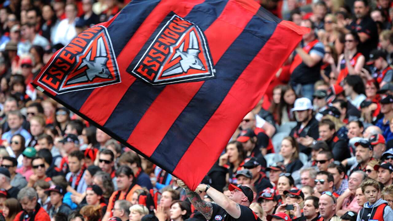 An Essendon fan celebrates a goal
