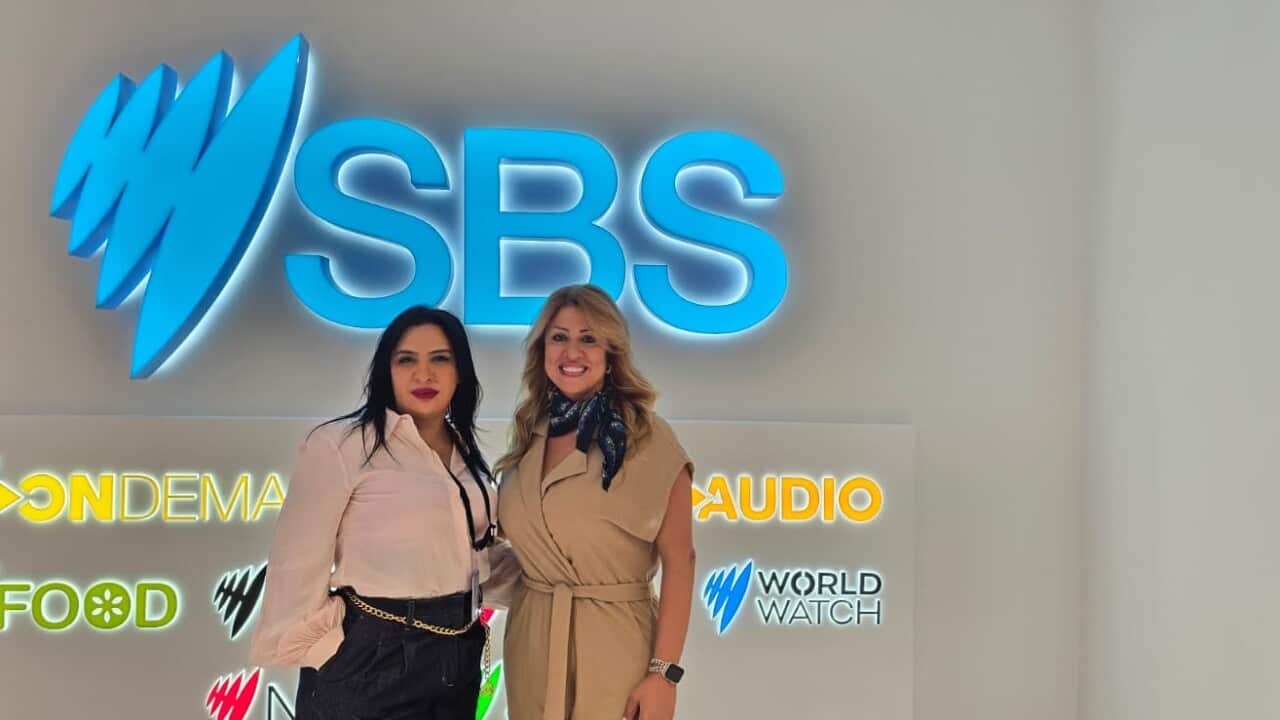 WhatsApp Image 2026-04-21 at 1.23.37 PM (1).jpeg