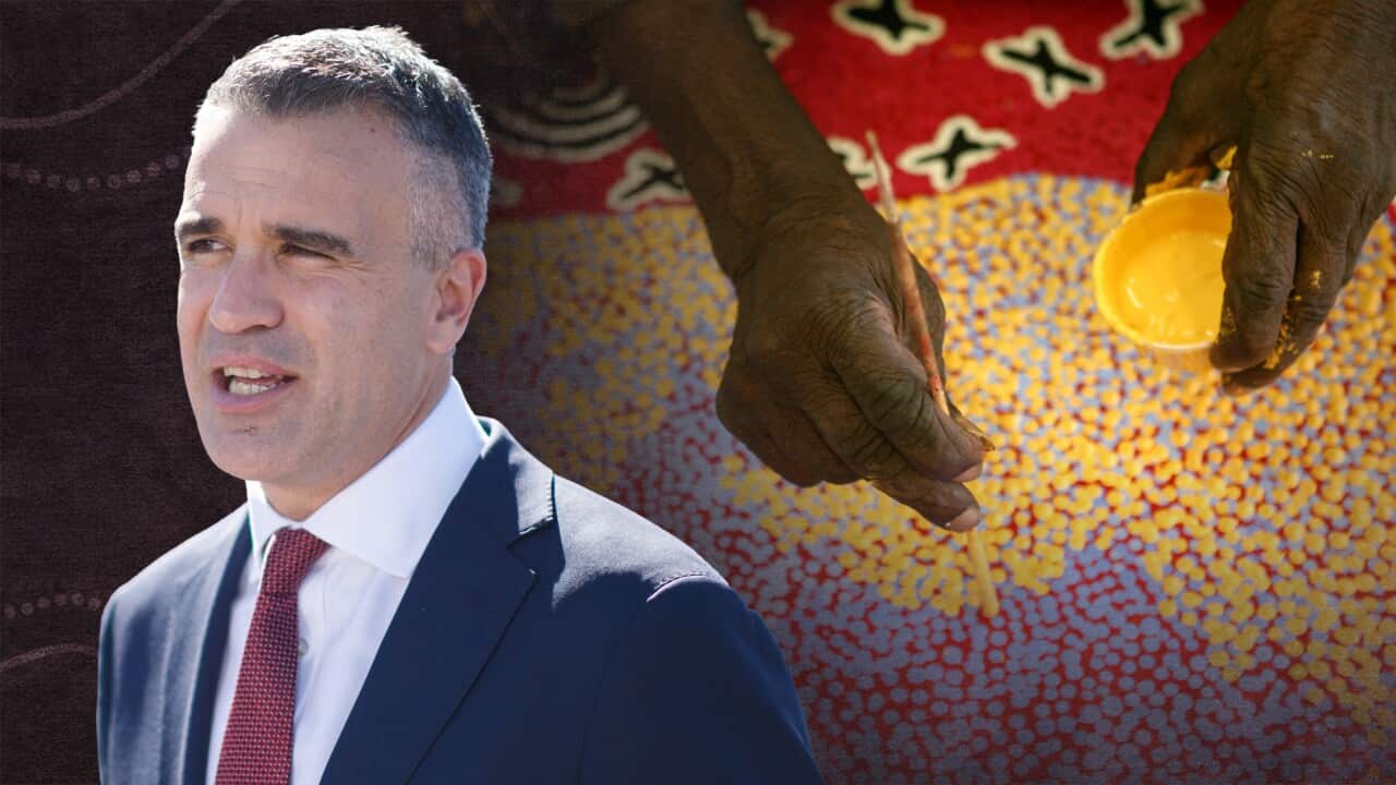 Peter Malinauskas Indigenous Art web hero.jpg