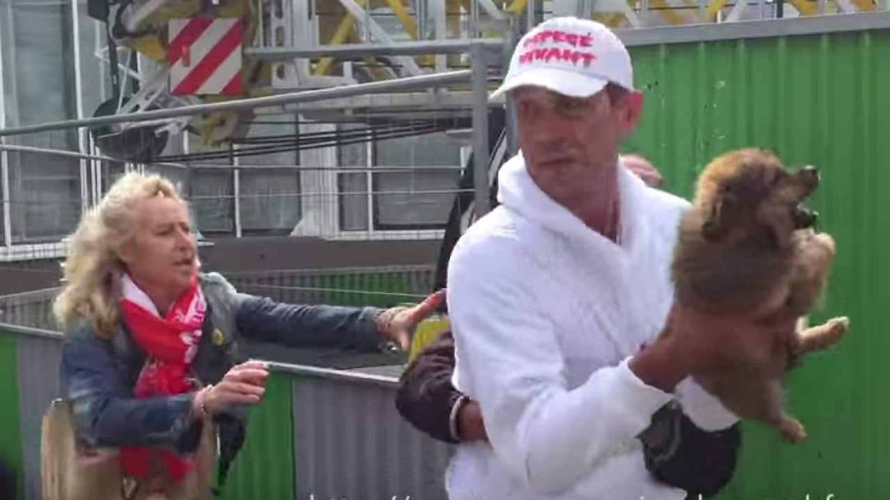 A screenshot of the video showing the puppy being removed 