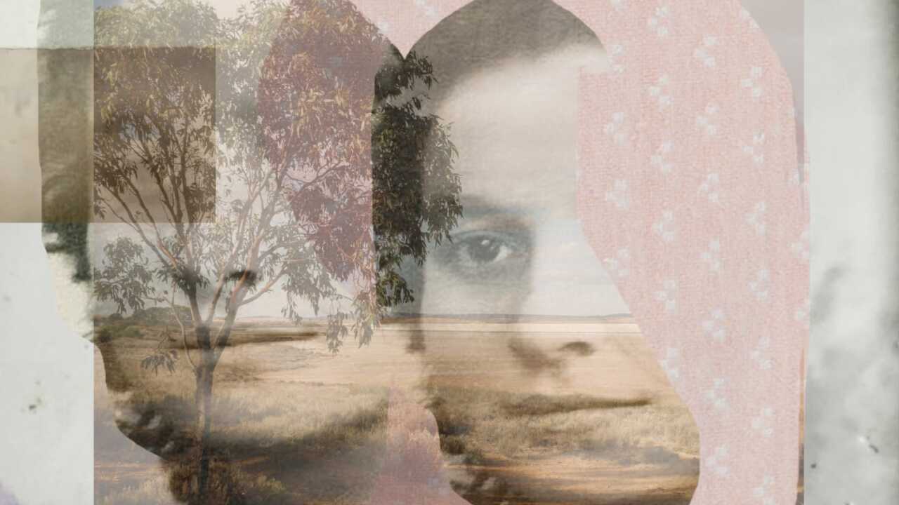 Image for read more article ''