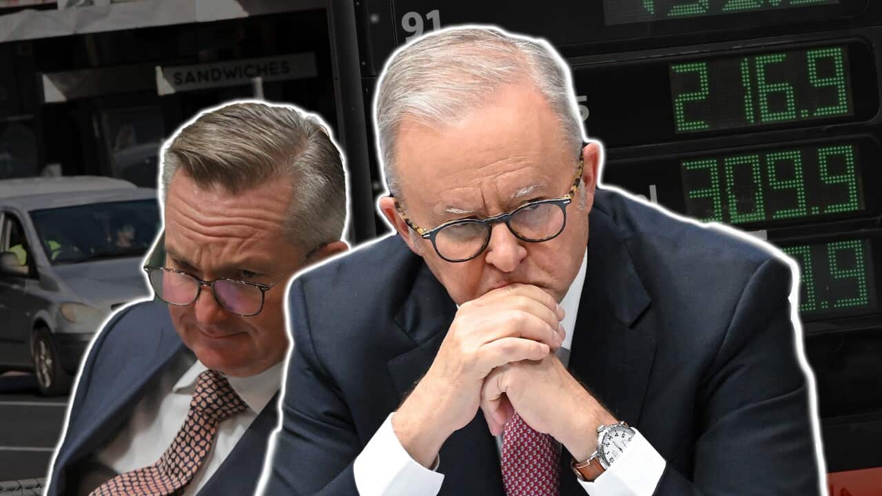 ALBANESE BOWEN FUEL COMP