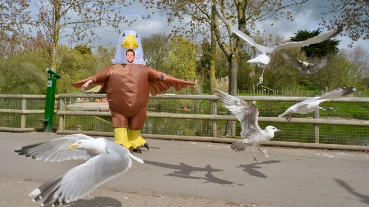 Blackpool Zoo FuzPDrYWIAATi0o.jpg