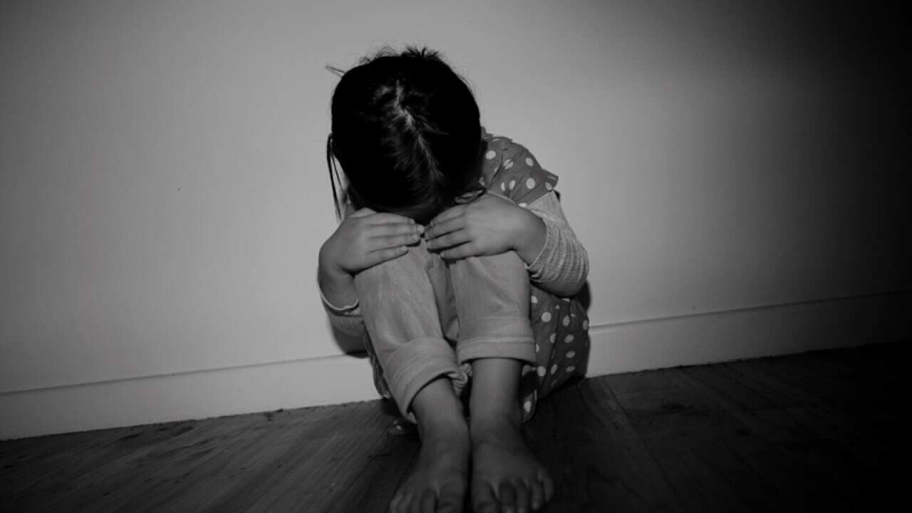 A little girl poses for photographs