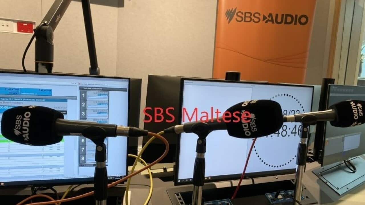 SBS Maltese Audio (Studio) 1.jpg