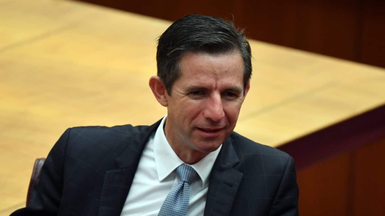 Simon Birmingham has called for the immediate sacking of coalition staffers alleged to have shared images of themselves performing sex acts in Parliament House.