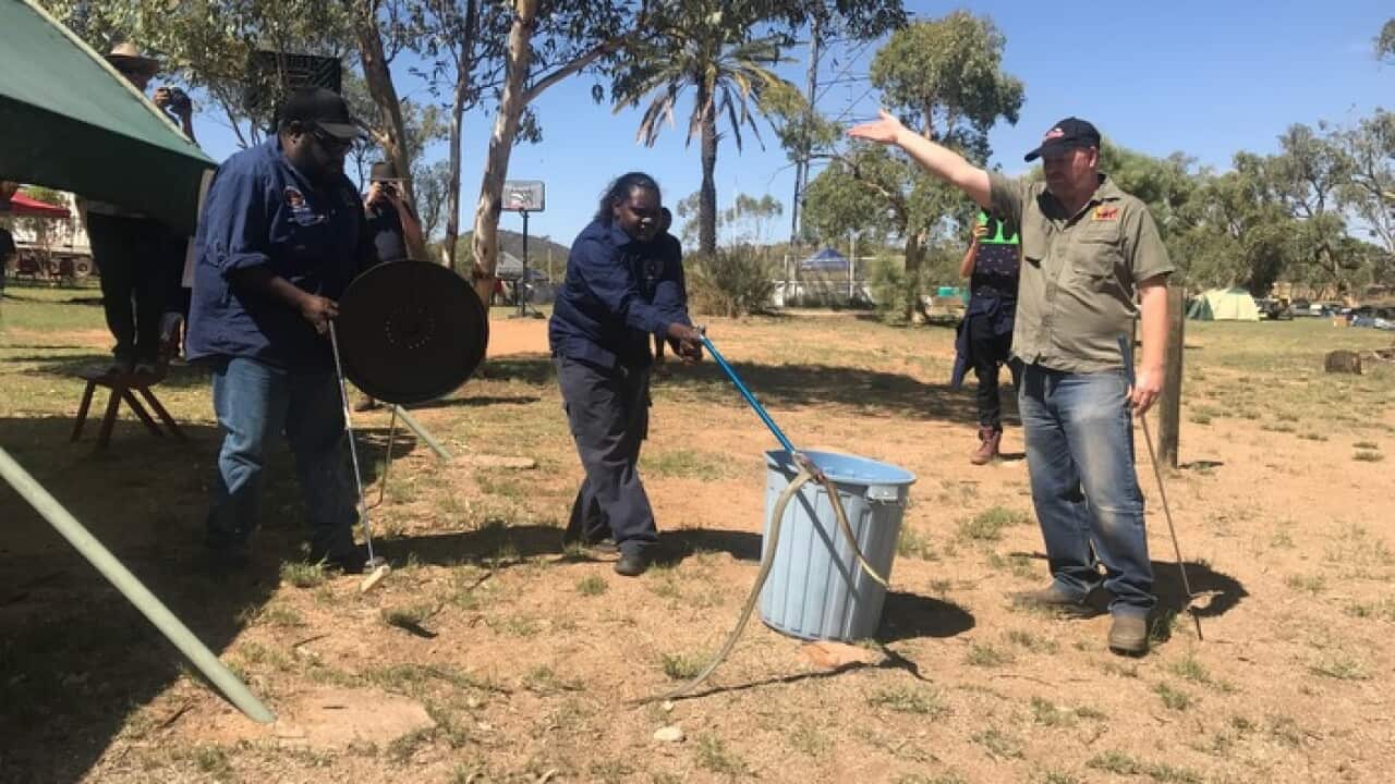 A ranger is trained in catching snakes.
