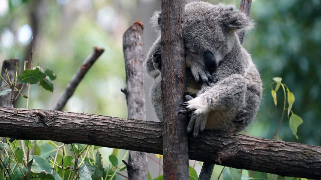 Image for read more article 'اقرأ المزيد:'