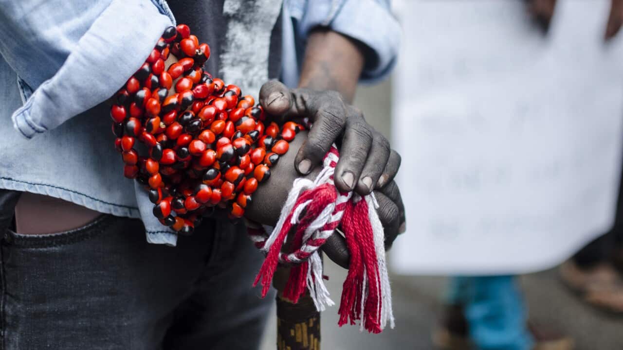 General Strike Brazil - Indigenous Protest
