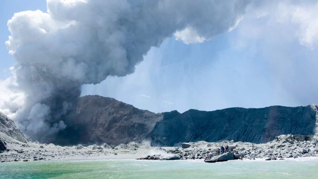 Smoke from a volcano billows near an ocean shore.