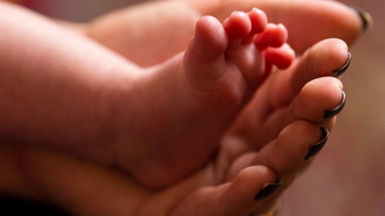 A newborn baby's feet
