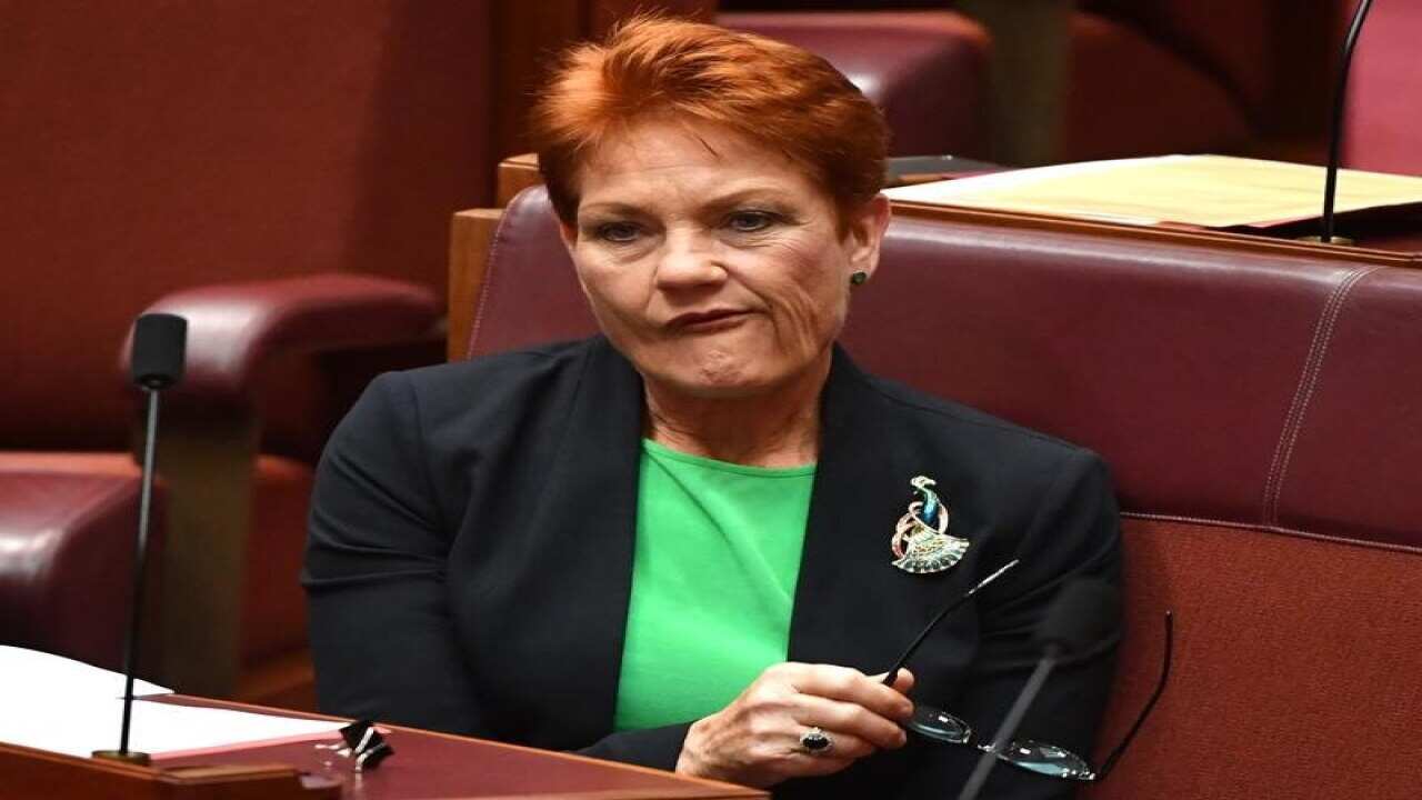 One Nation leader Pauline Hanson in the Senate chamber.