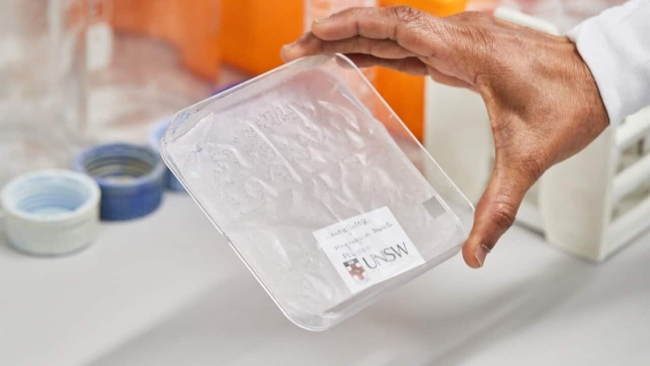 Image for read more article 'READ MORE'