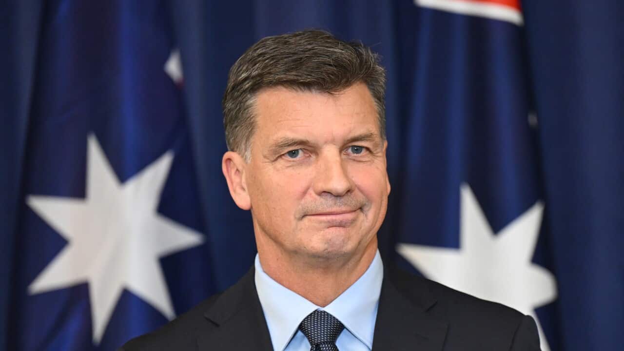 LIBERAL LEADERSHIP SPILL