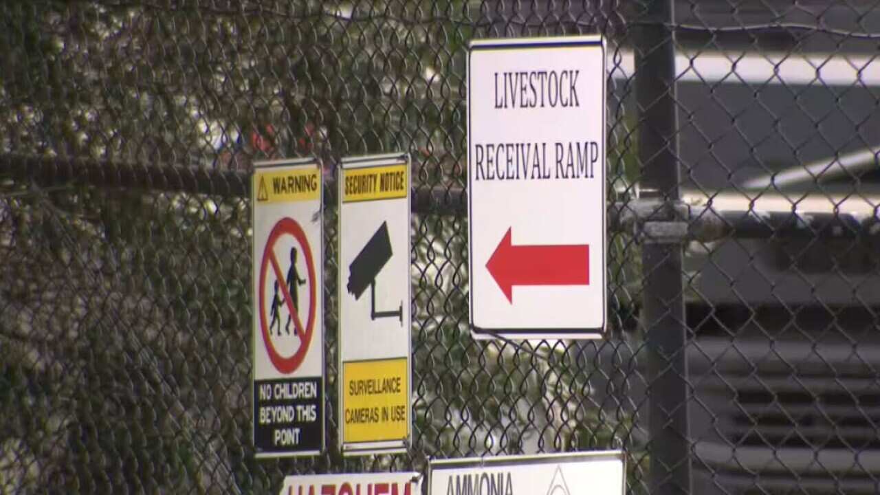 Stock photo of an unidentified Australian abattoir.jpg