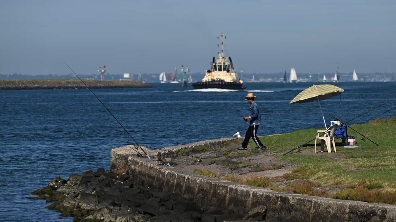 AUSTRALIA US TARIFFS STOCK