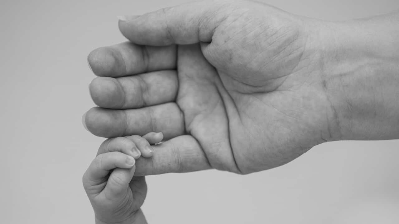grey85-motherhood-7114294.jpg