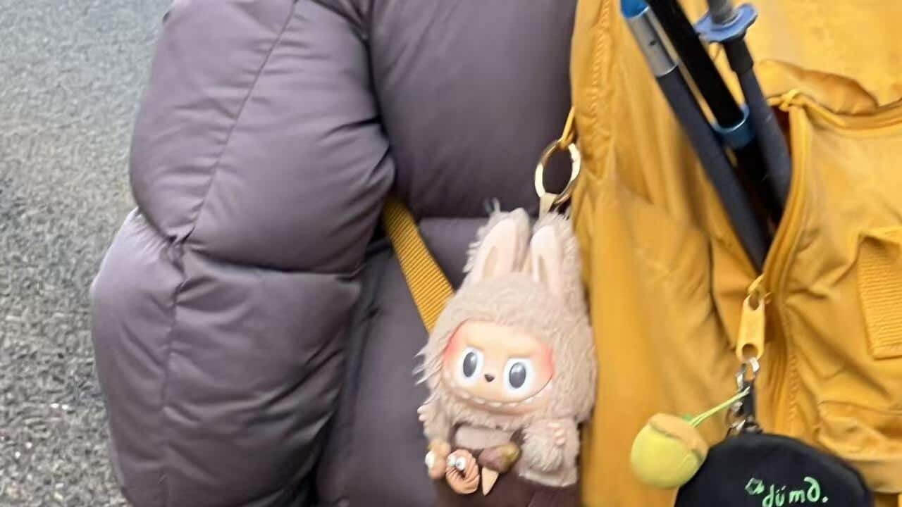 Image for read more article ''