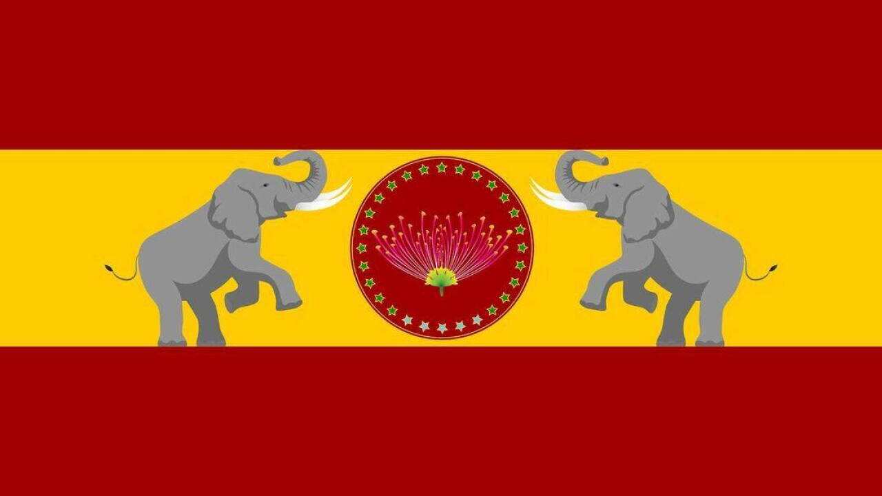 Vijay Party Flag.jpg